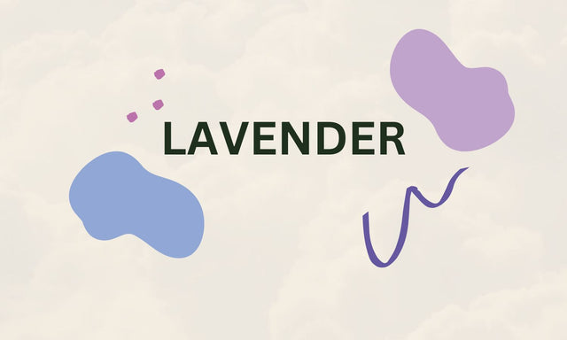 LAVENDER