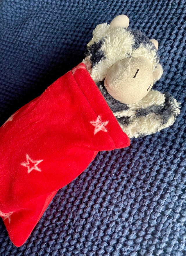 Kids’ “Try-It-Out” Sewing Class: Make Your Own Stuffy Sleeping Bag!